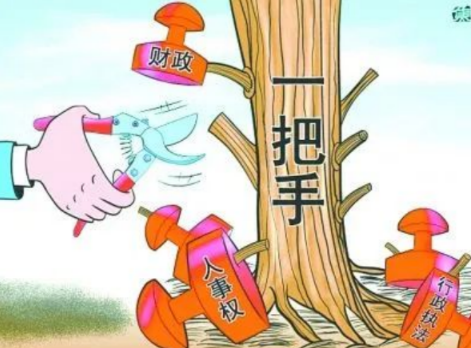你確定你們的項目是“一把手工程”？